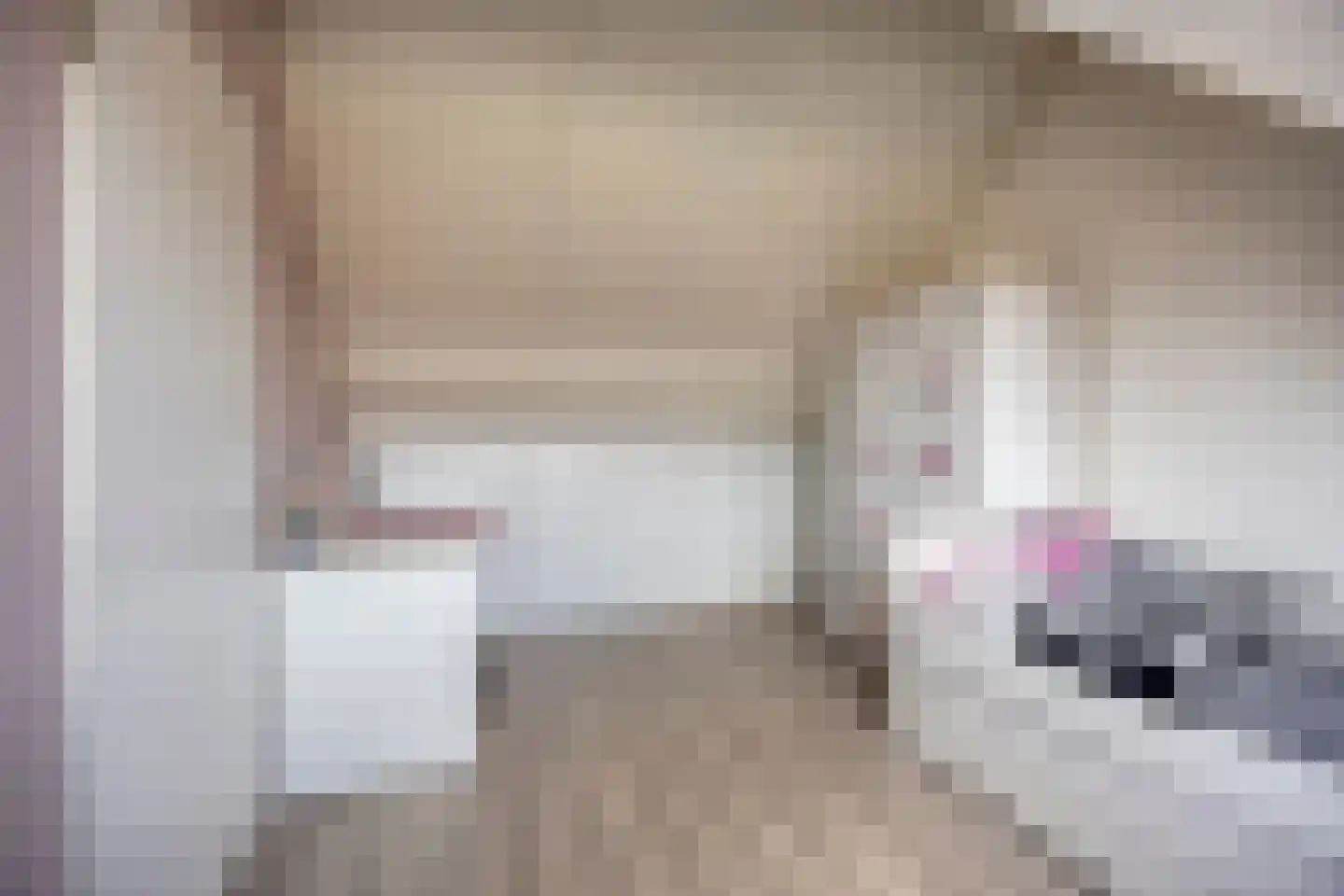 Kouter 7 Poortugaal thumbnail 31