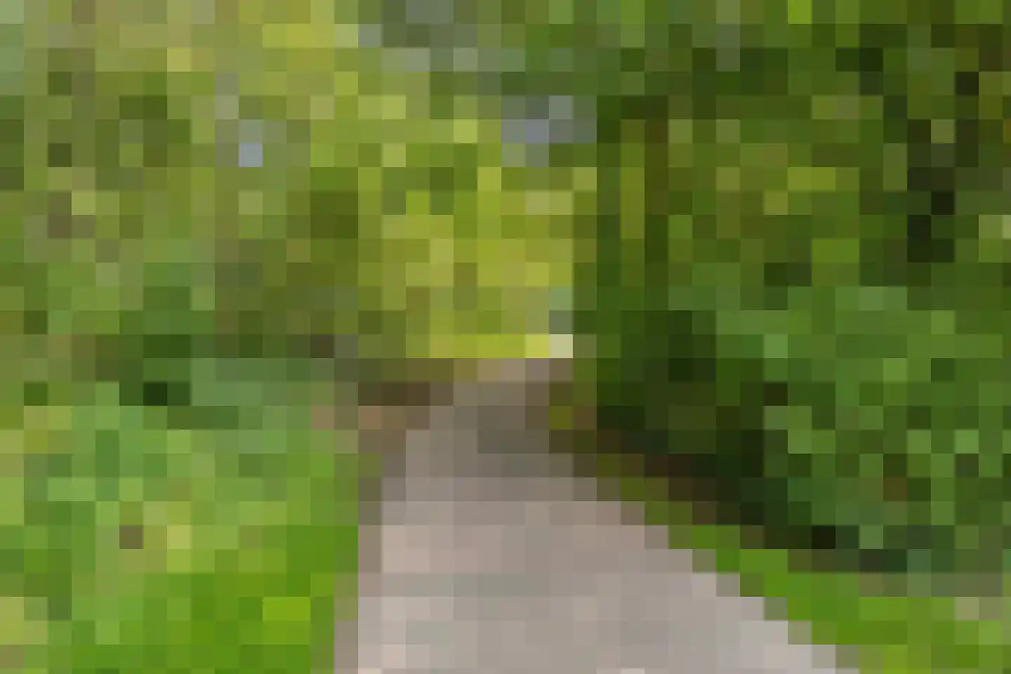 Kouter 7 Poortugaal thumbnail 40