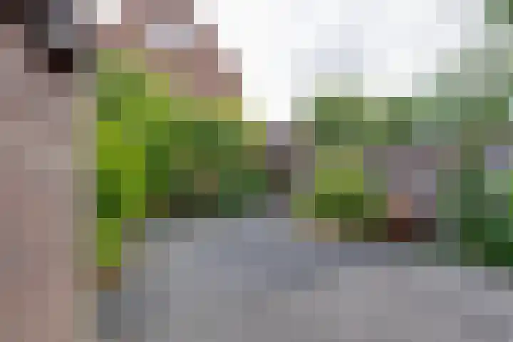 Kouterstraat 16 Purmerend thumbnail 16