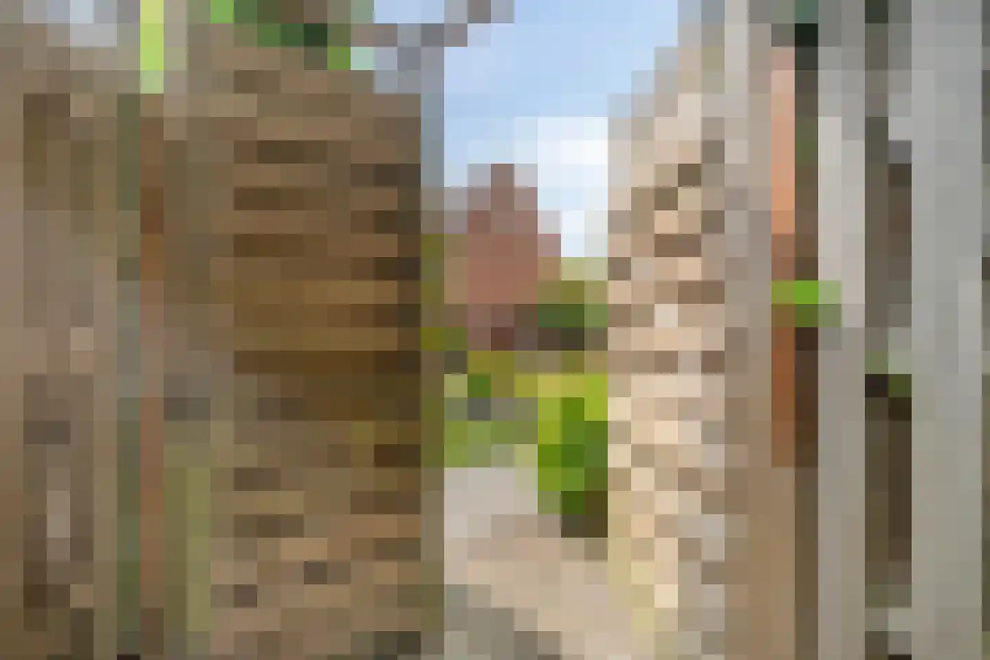 Kouterstraat 24 Purmerend thumbnail 34