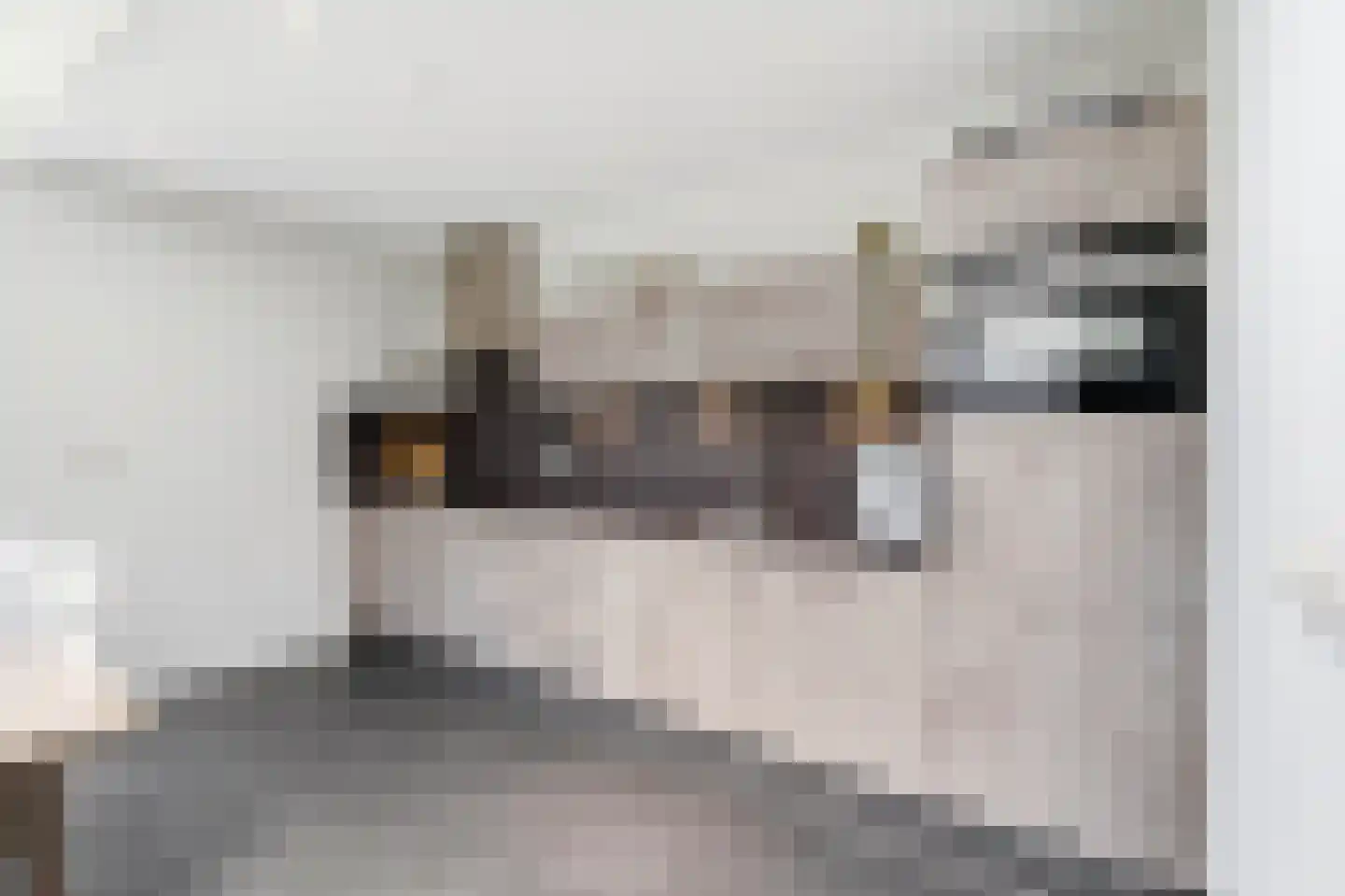 Kouterweg 5 Wanroij thumbnail 11