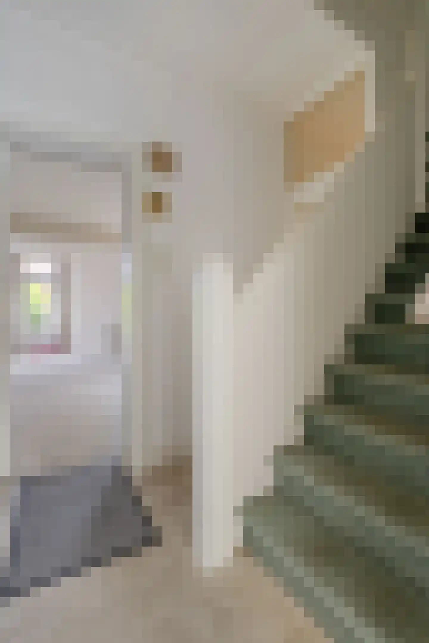 Kouvenderstraat 53 Hoensbroek thumbnail 35