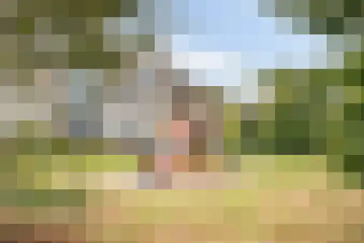 Kouwelaarsbrand 29 Etten-Leur thumbnail 41