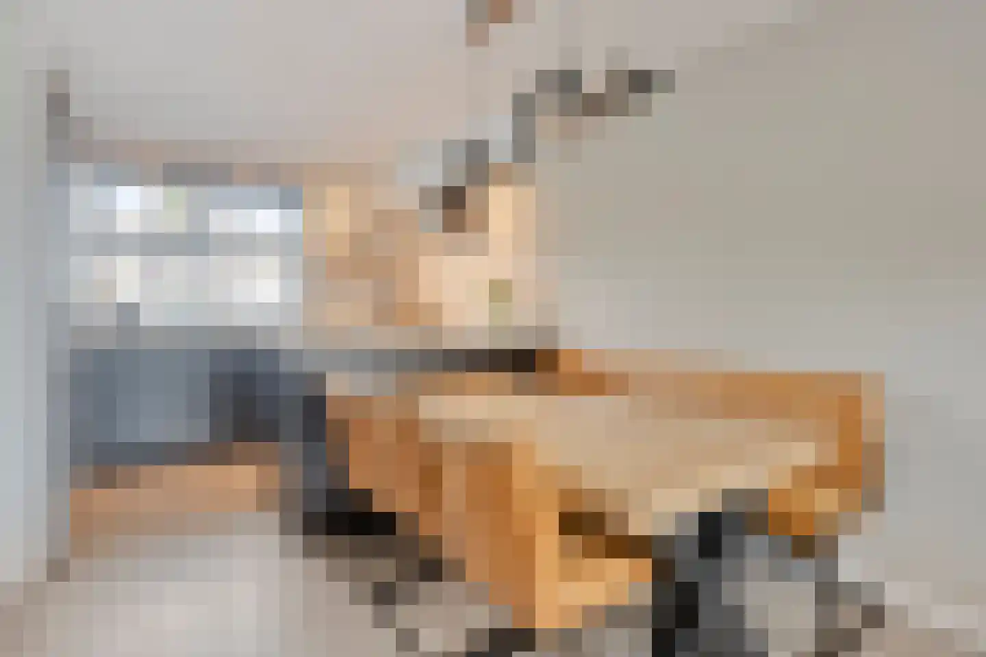 Kouwelaarsbrand 3 Etten-Leur thumbnail 15