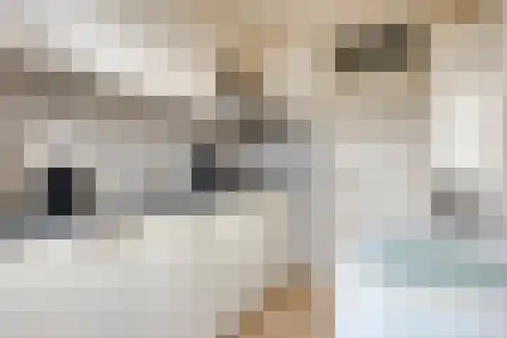 Kouwenaarsweg 13 Vaassen thumbnail 10