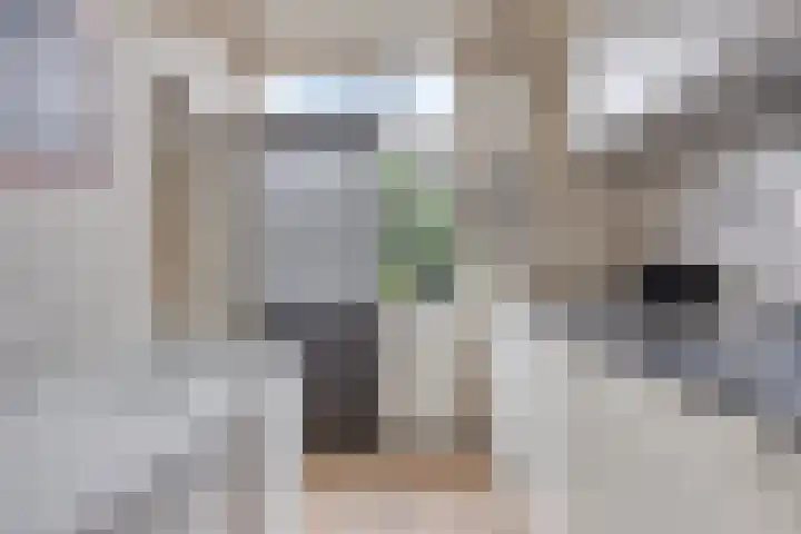 Kouwenaarsweg 13 Vaassen thumbnail 11