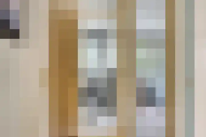 Kouwenaarsweg 13 Vaassen thumbnail 12