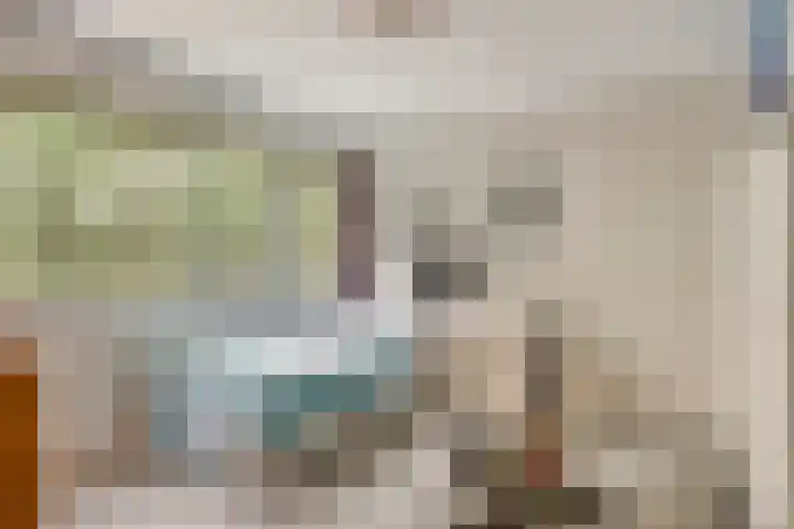 Kouwenaarsweg 13 Vaassen thumbnail 16