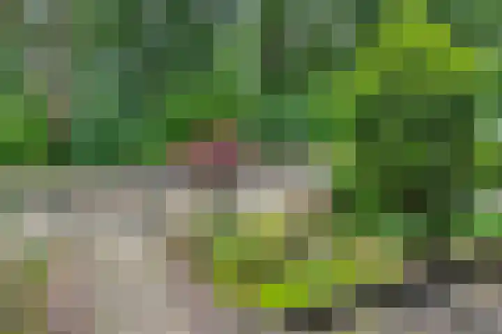 Kouwenaarsweg 13 Vaassen thumbnail 17