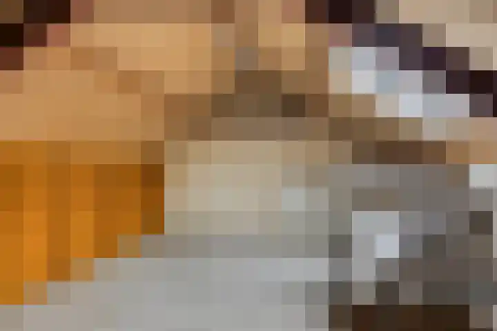 Kouwenaarsweg 13 Vaassen thumbnail 19