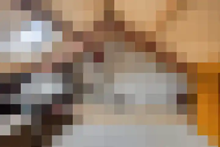 Kouwenaarsweg 13 Vaassen thumbnail 20