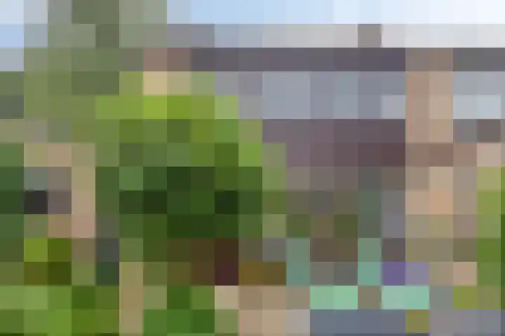 Kouwenaarsweg 13 Vaassen thumbnail 21