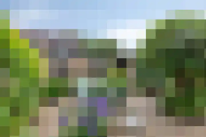 Kouwenaarsweg 13 Vaassen thumbnail 22