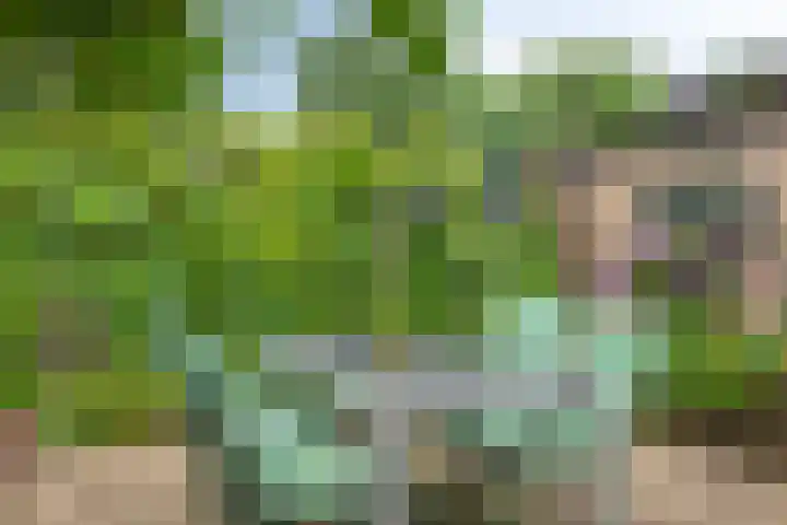Kouwenaarsweg 13 Vaassen thumbnail 23