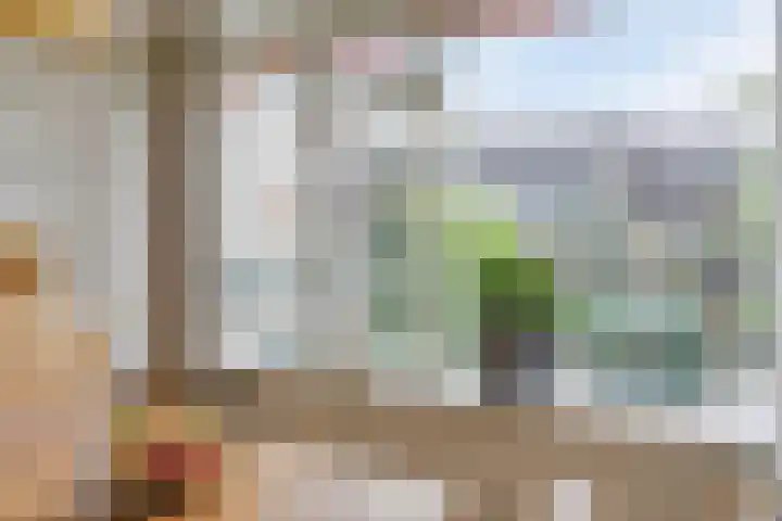 Kouwenaarsweg 13 Vaassen thumbnail 6