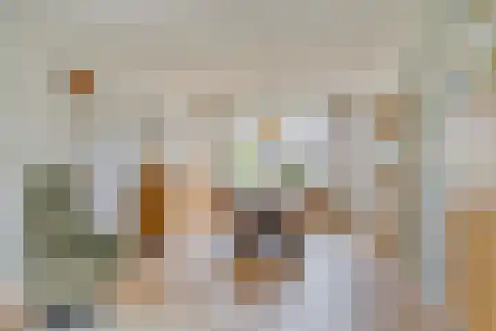 Kouwenaarsweg 13 Vaassen thumbnail 8