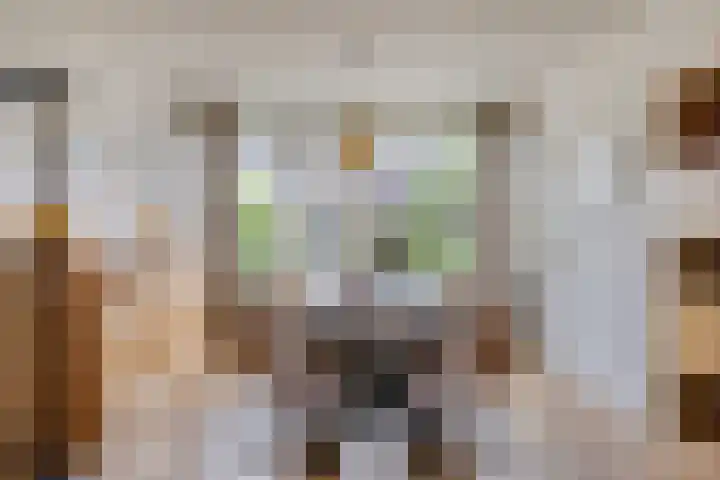 Kouwenaarsweg 13 Vaassen thumbnail 9