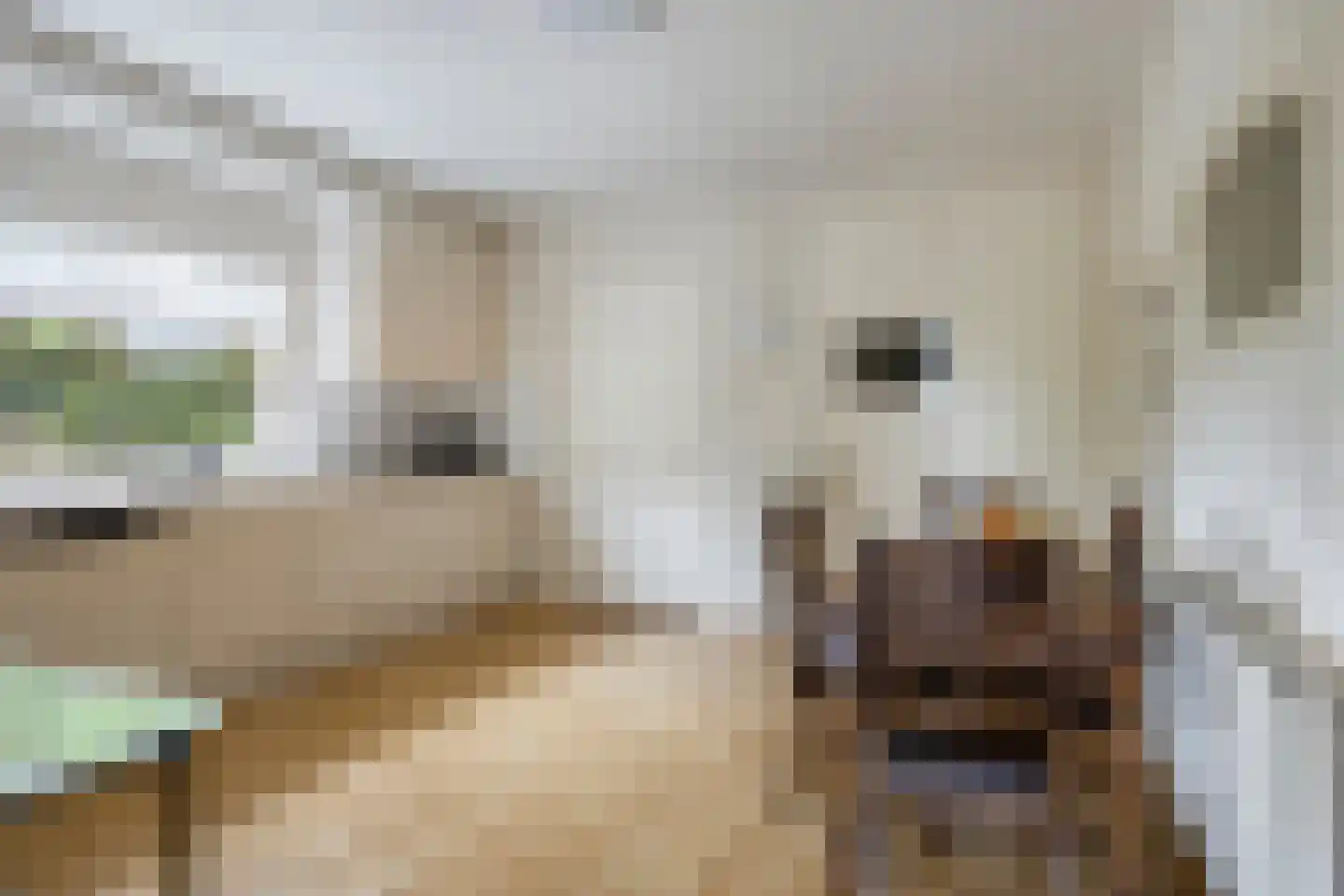 Kouwenaarsweg 88 Vaassen thumbnail 14