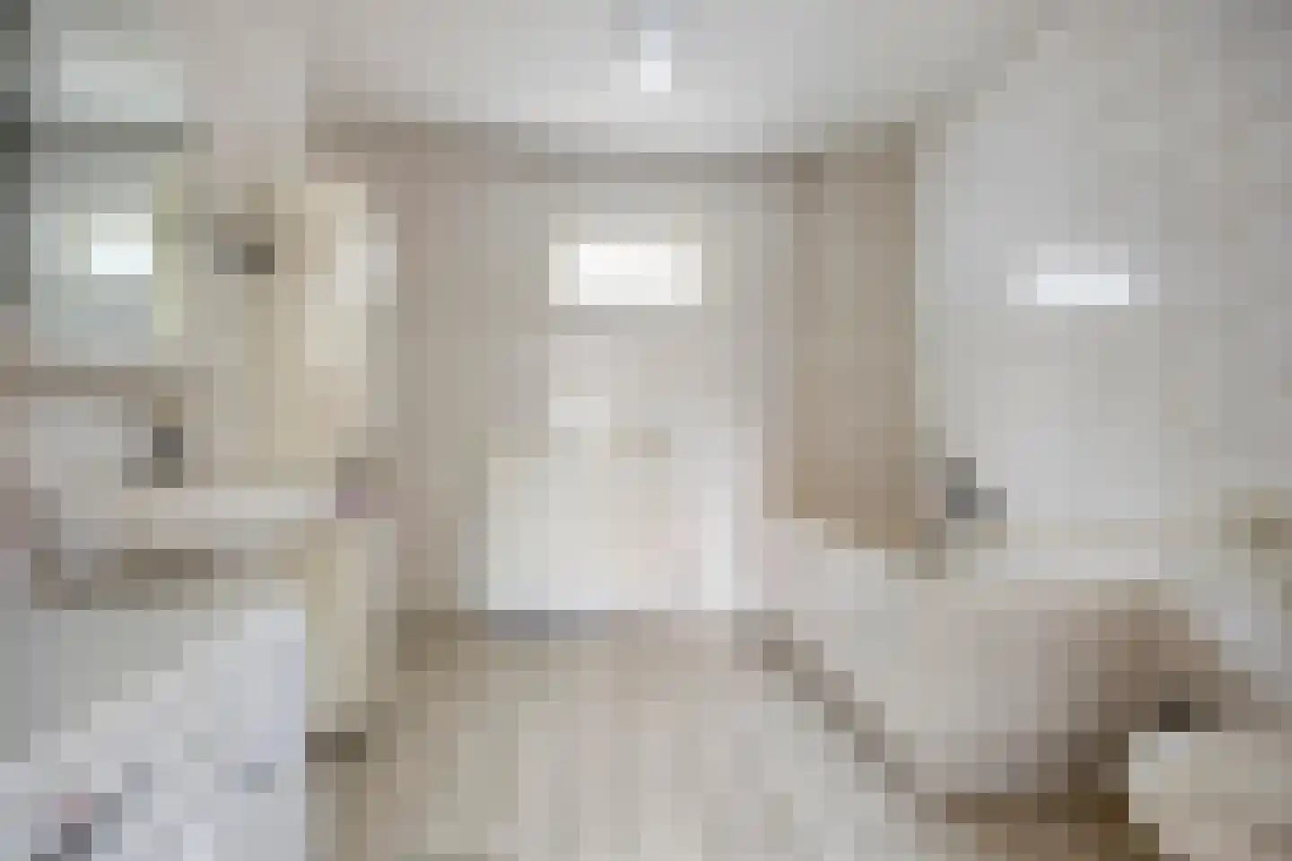 Kouwenaarsweg 88 Vaassen thumbnail 20