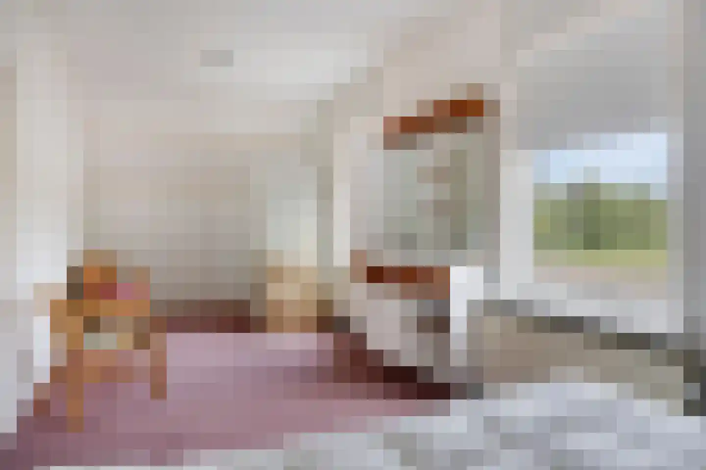 Kouwenaarsweg 88 Vaassen thumbnail 27