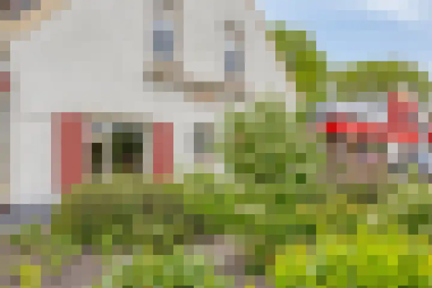 Kouwenaarsweg 88 Vaassen thumbnail 32