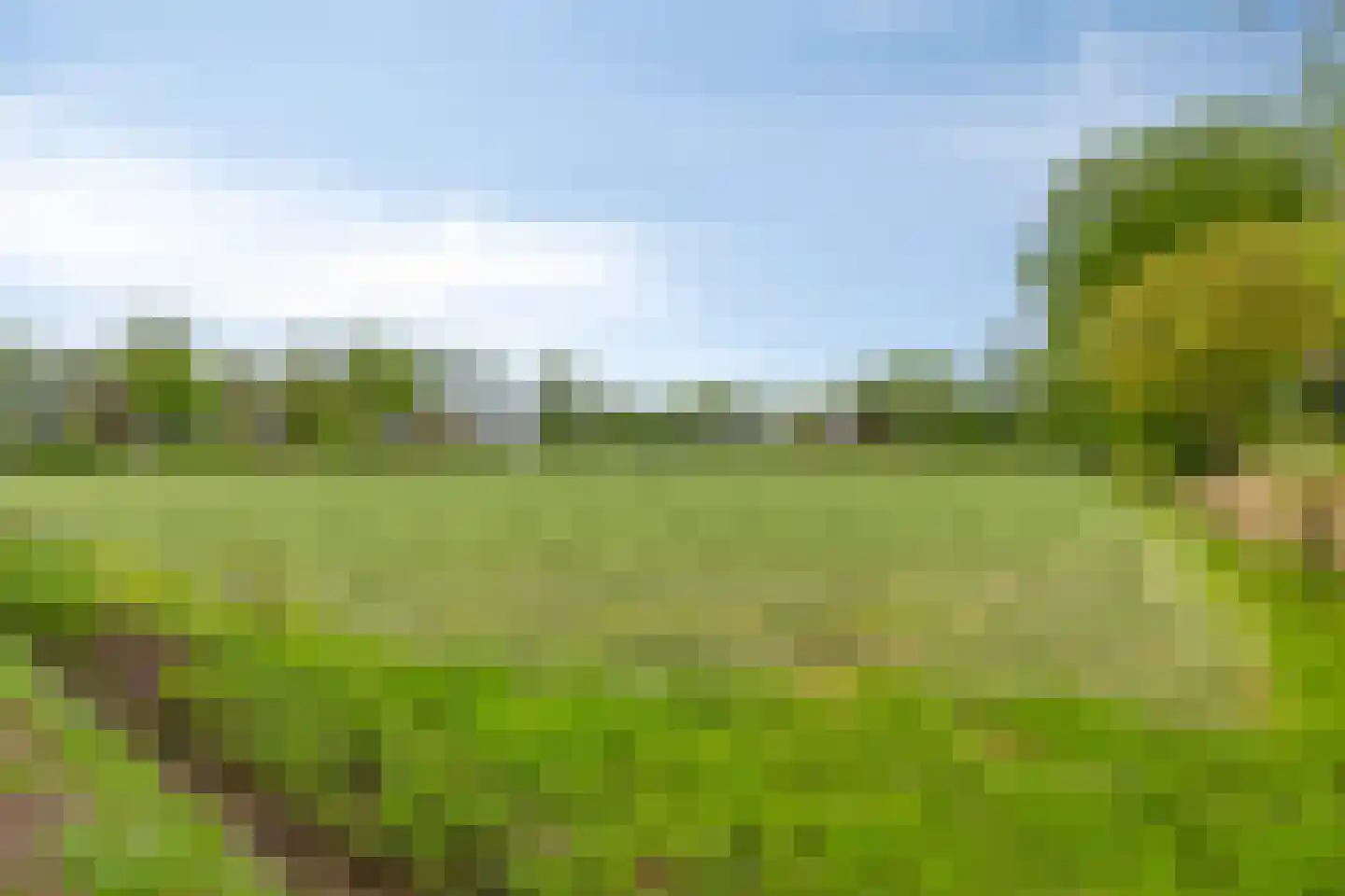 Kouwenaarsweg 88 Vaassen thumbnail 33