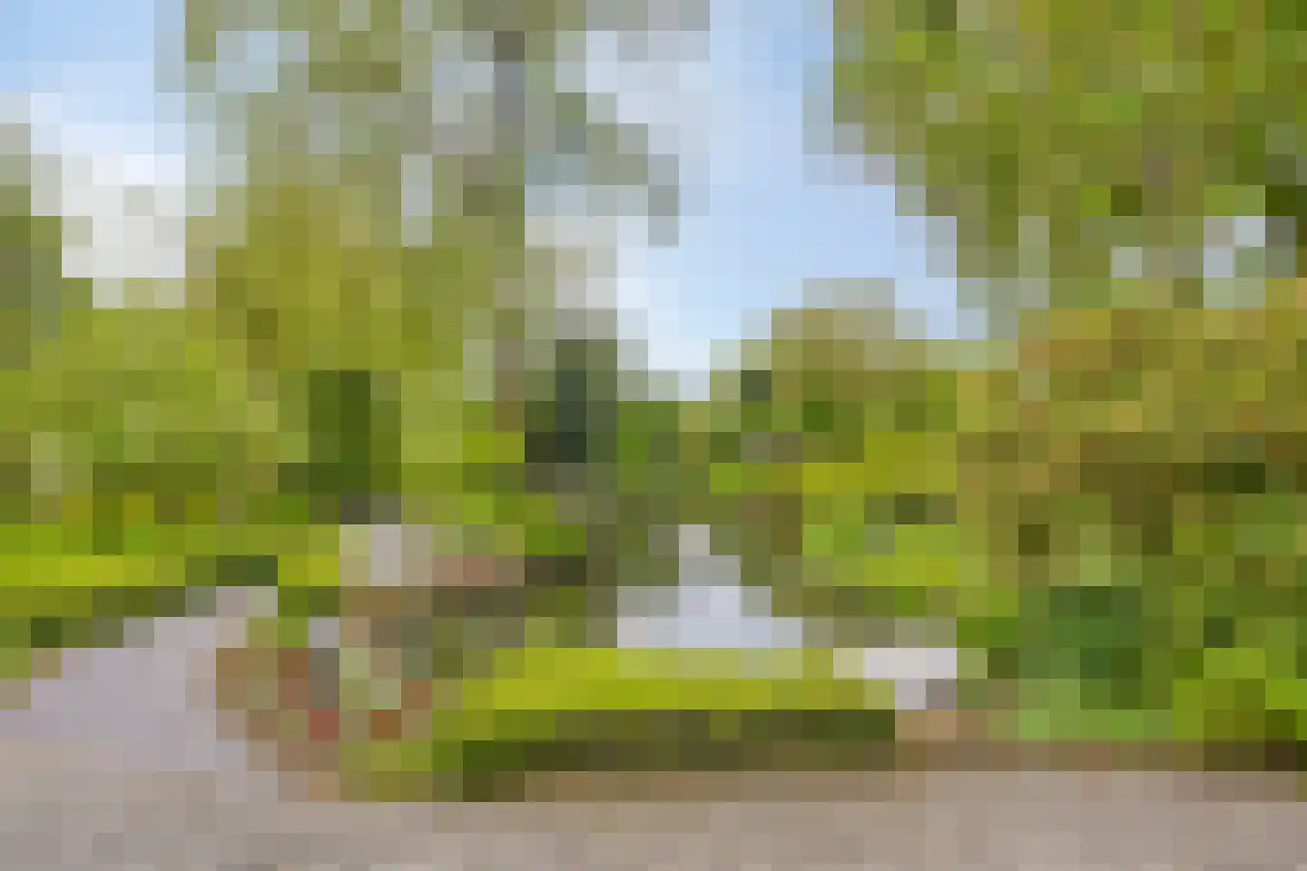 Kouwenaarsweg 88 Vaassen thumbnail 38