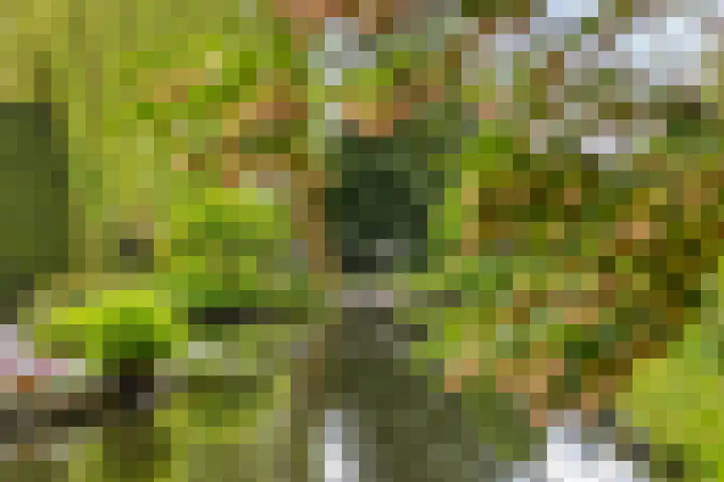 Kouwenaarsweg 88 Vaassen thumbnail 39