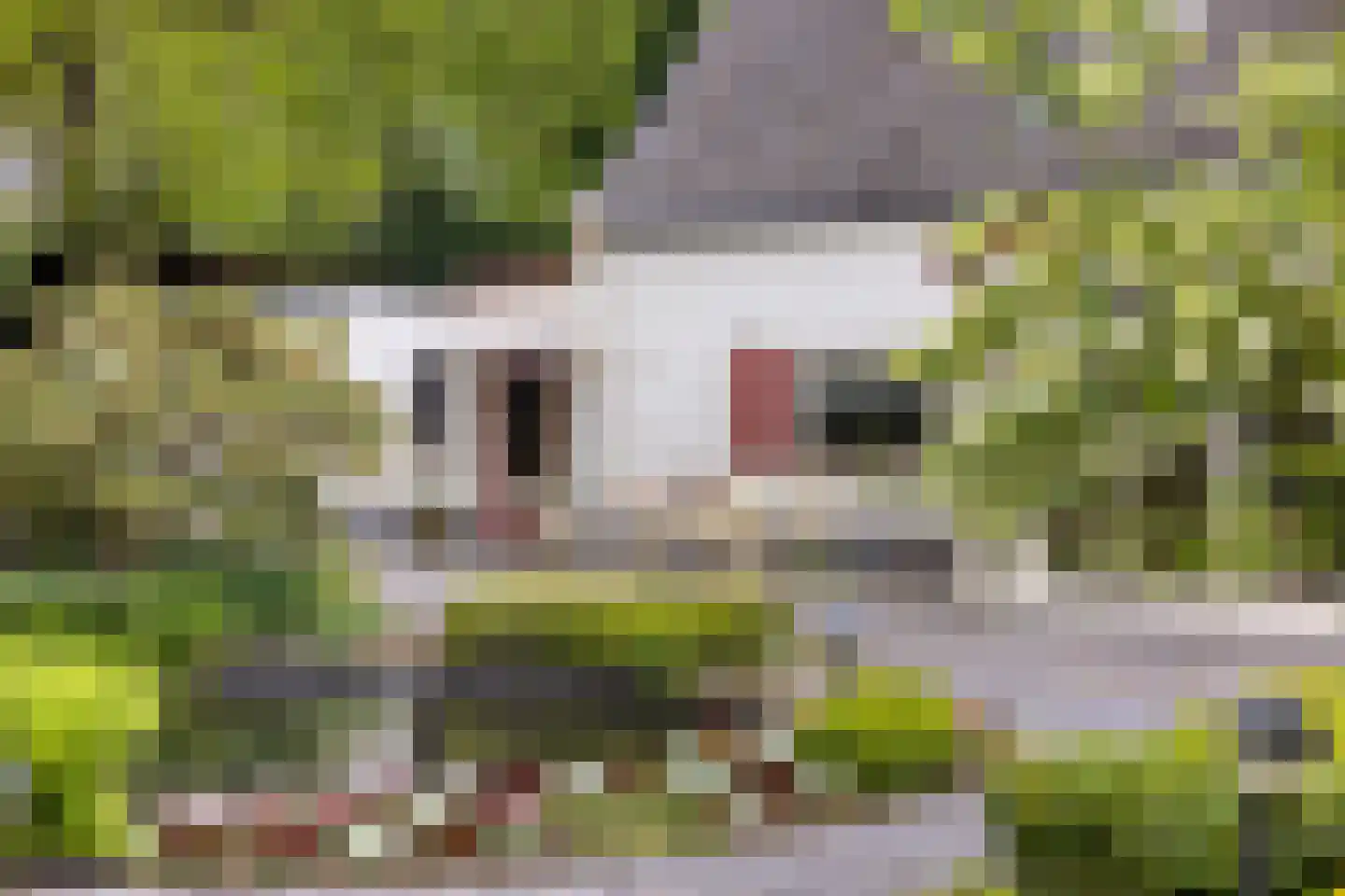 Kouwenaarsweg 88 Vaassen thumbnail 40