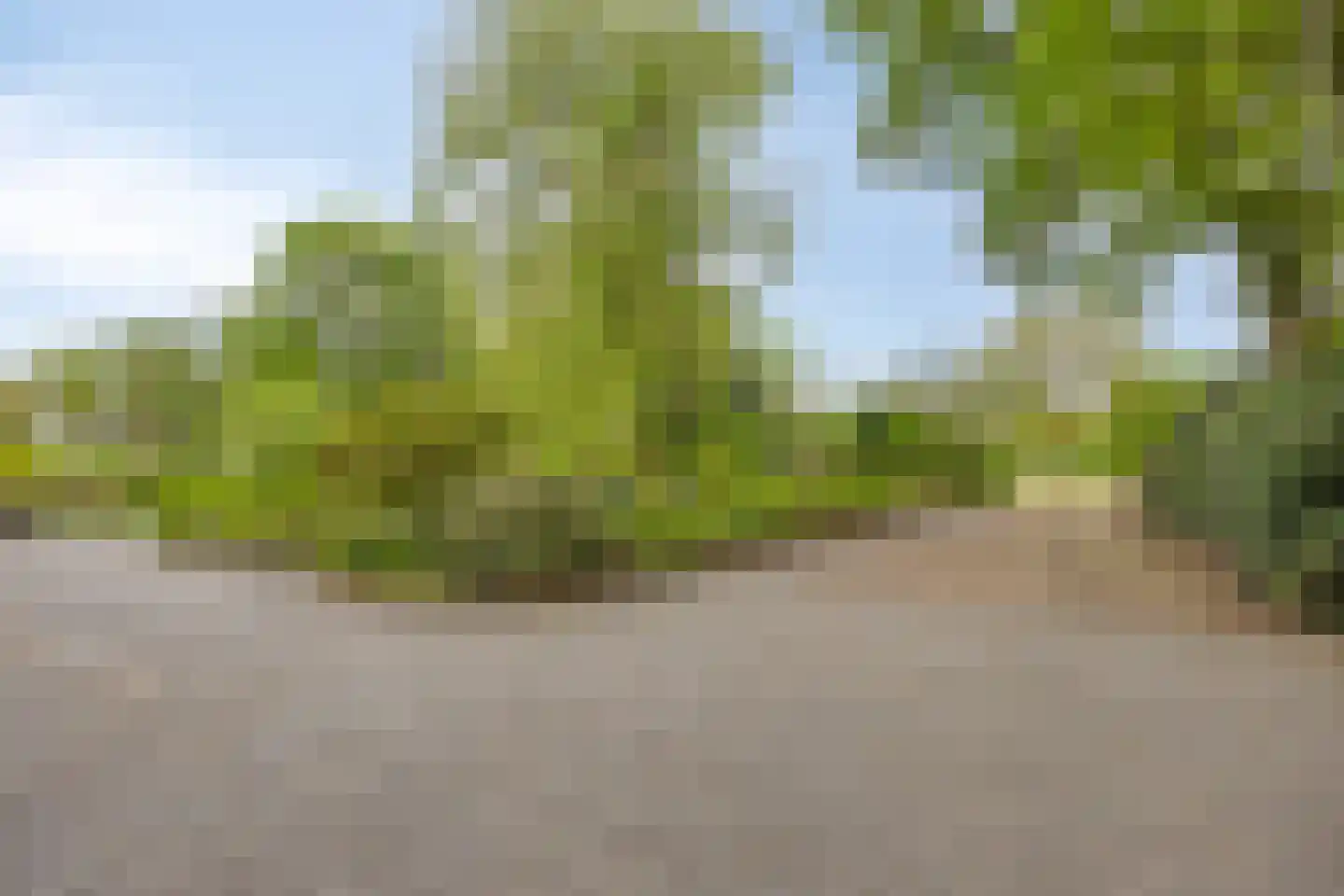 Kouwenaarsweg 88 Vaassen thumbnail 41
