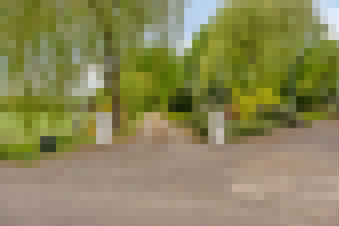 Kouwenaarsweg 88 Vaassen thumbnail 5
