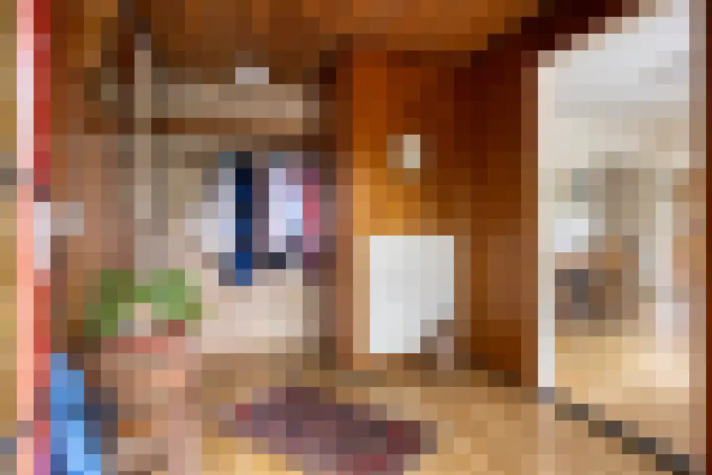 Kouwenaarsweg 88 Vaassen thumbnail 8