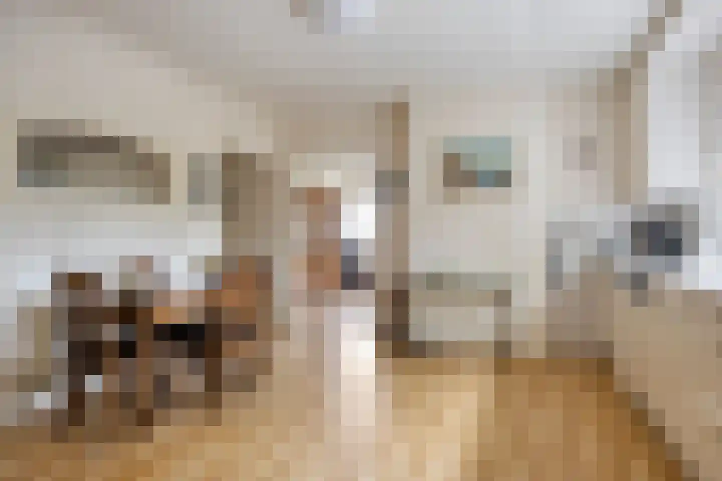 Kouwenaarsweg 88 Vaassen thumbnail 9