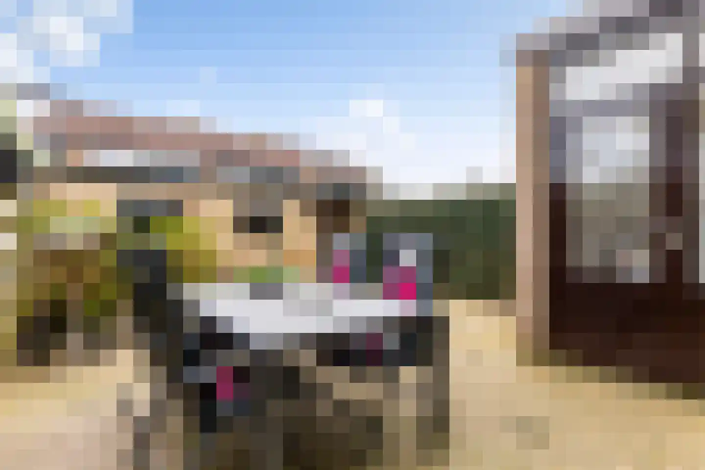Kouwenaarsweg 9 Vaassen thumbnail 27