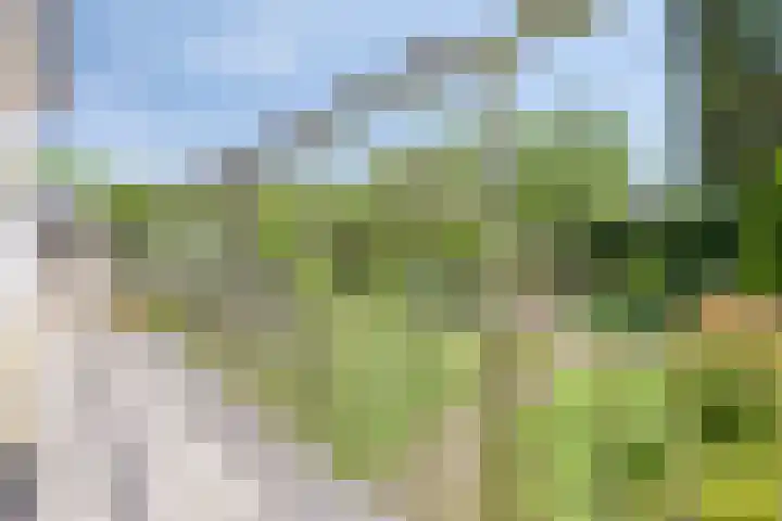 Kouwenberg 10 Cuijk thumbnail 47