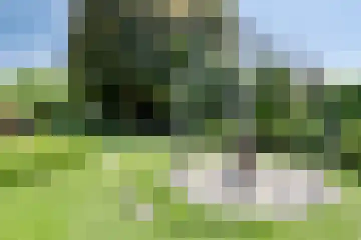 Kouwenberg 10 Cuijk thumbnail 6