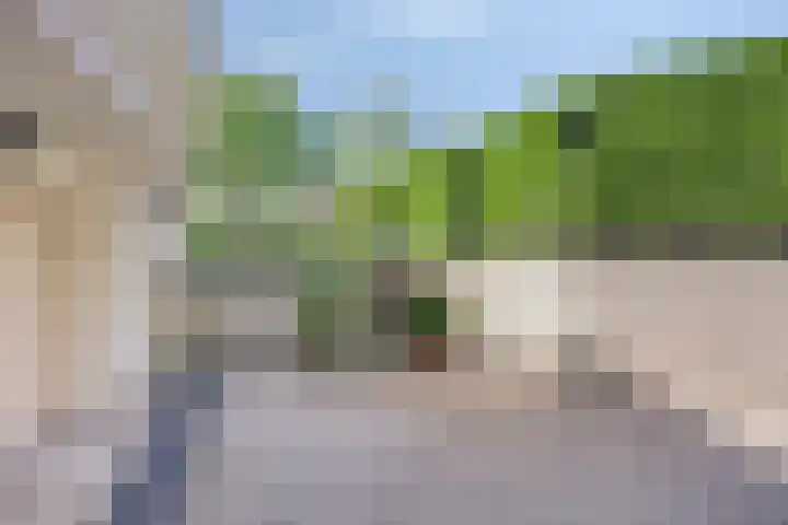 Kouwenberg 10 Cuijk thumbnail 60