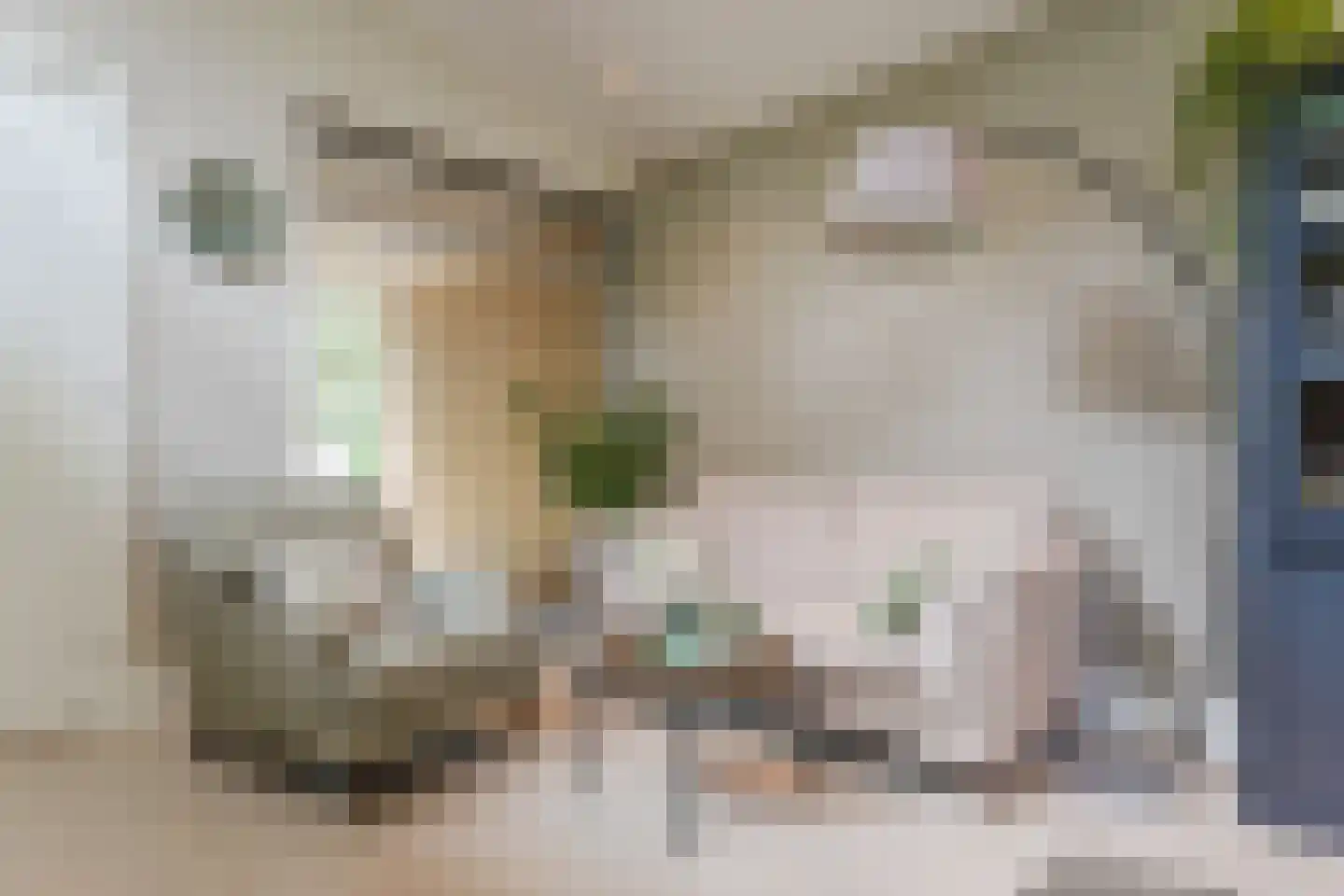 Kouwenberg 42 Cuijk thumbnail 18