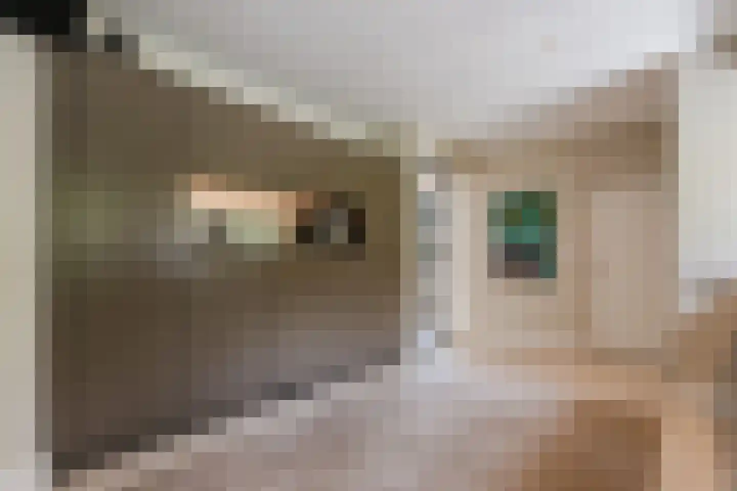 Kouwenberg 42 Cuijk thumbnail 5