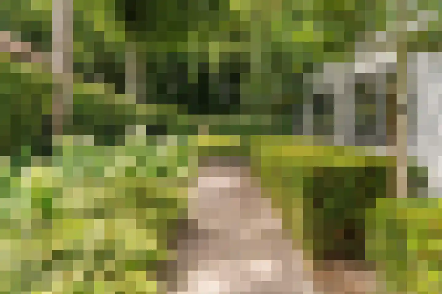 Kouwenberg 42 Cuijk thumbnail 54