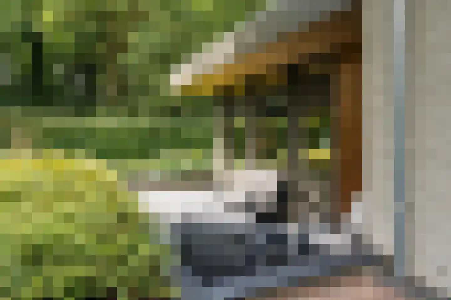 Kouwenberg 42 Cuijk thumbnail 55