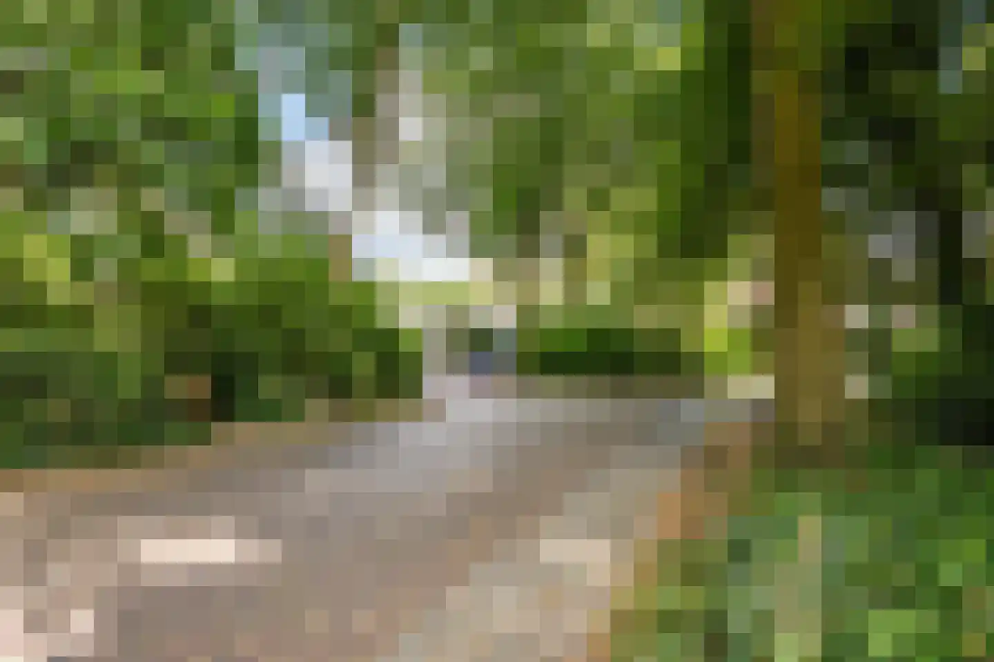 Kouwenberg 42 Cuijk thumbnail 58