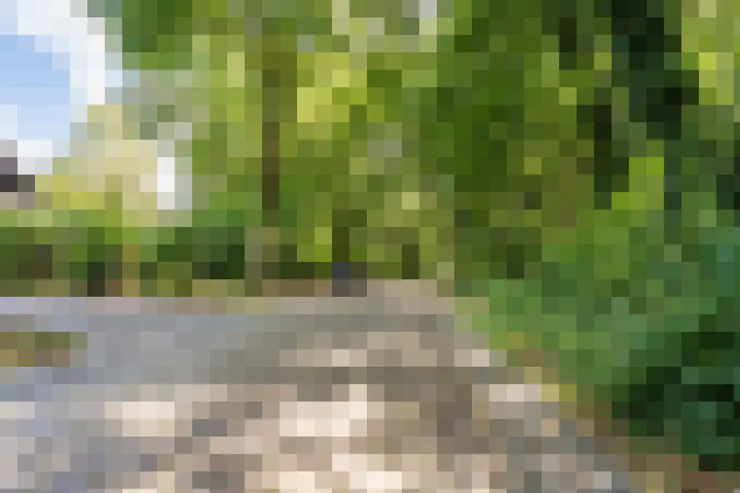 Kouwenberg 42 Cuijk thumbnail 59