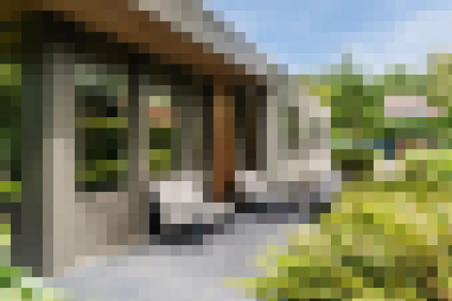 Kouwenberg 42 Cuijk thumbnail 8