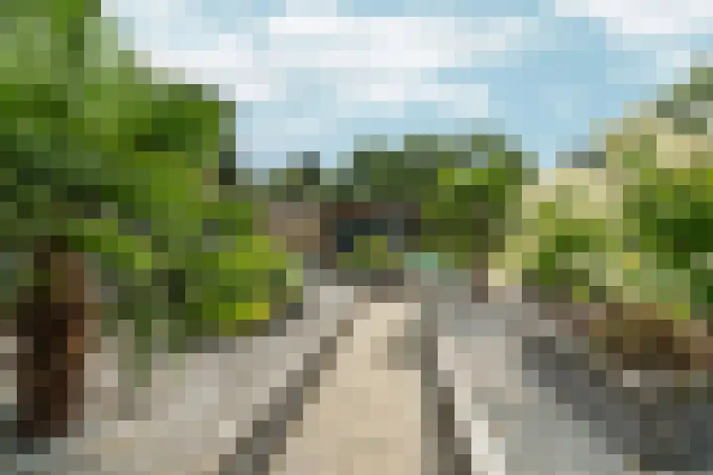 Kouwenberg 50 Cuijk thumbnail 33
