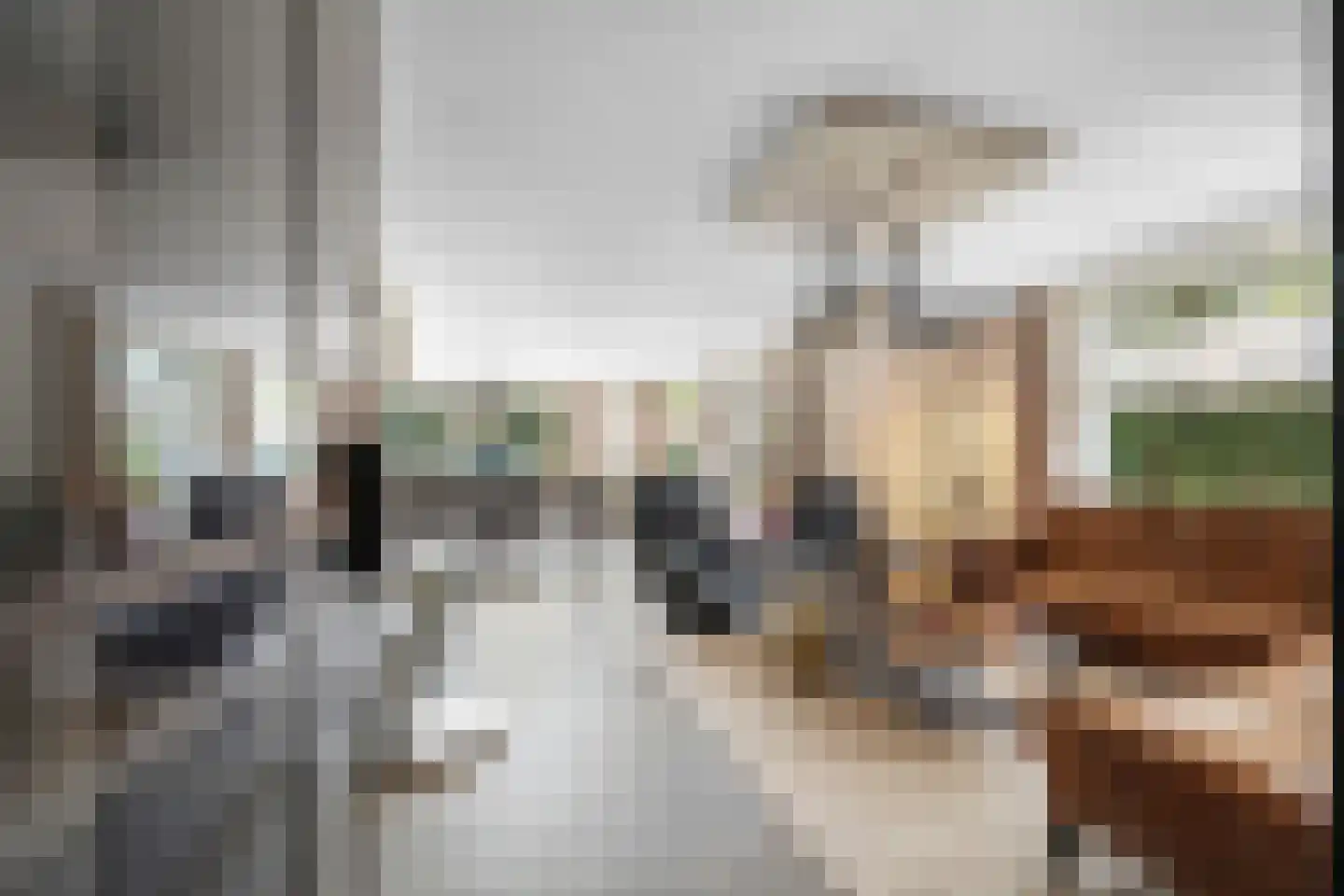 Kouwenberg 50 Cuijk thumbnail 4