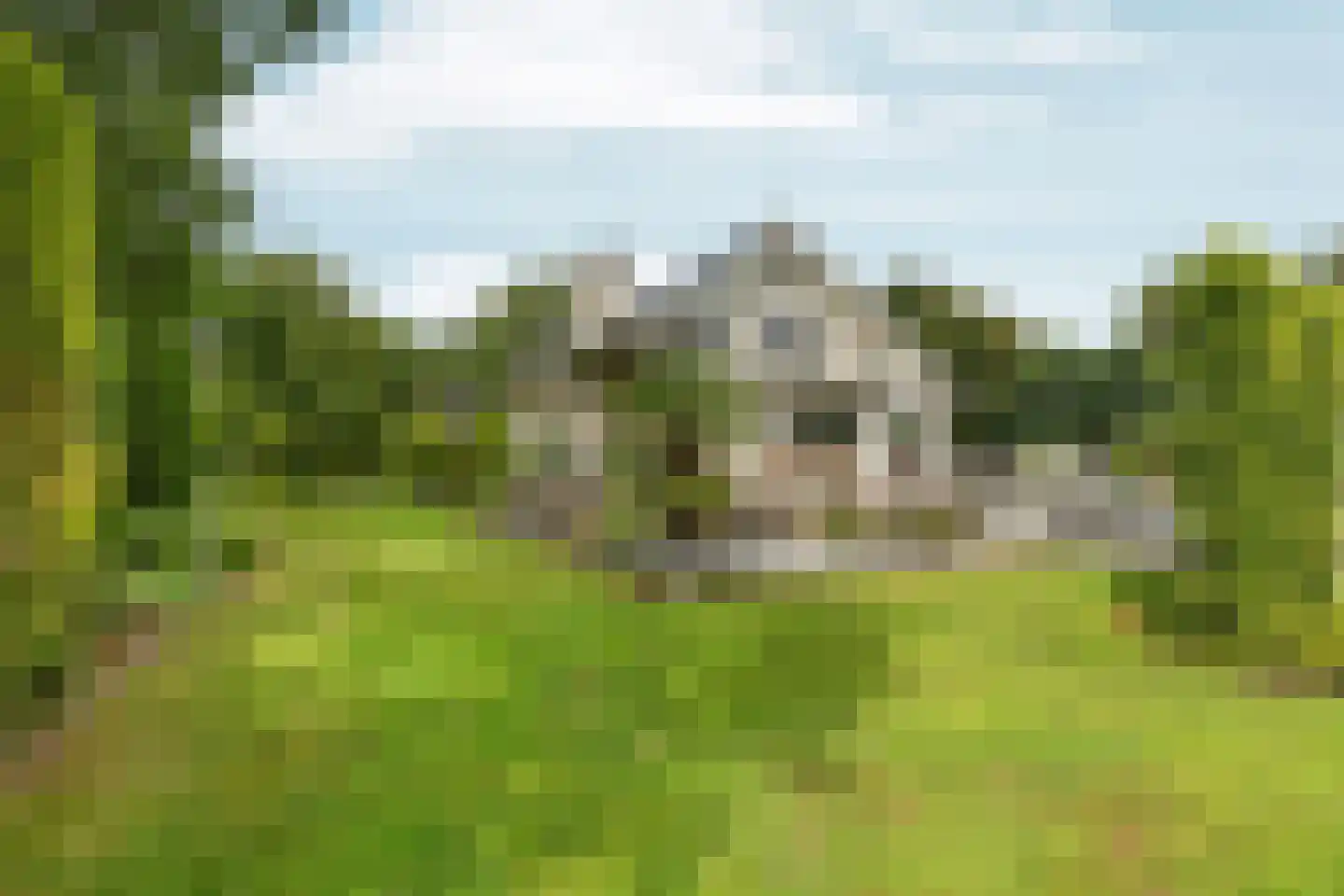 Kouwenberg 50 Cuijk thumbnail 46