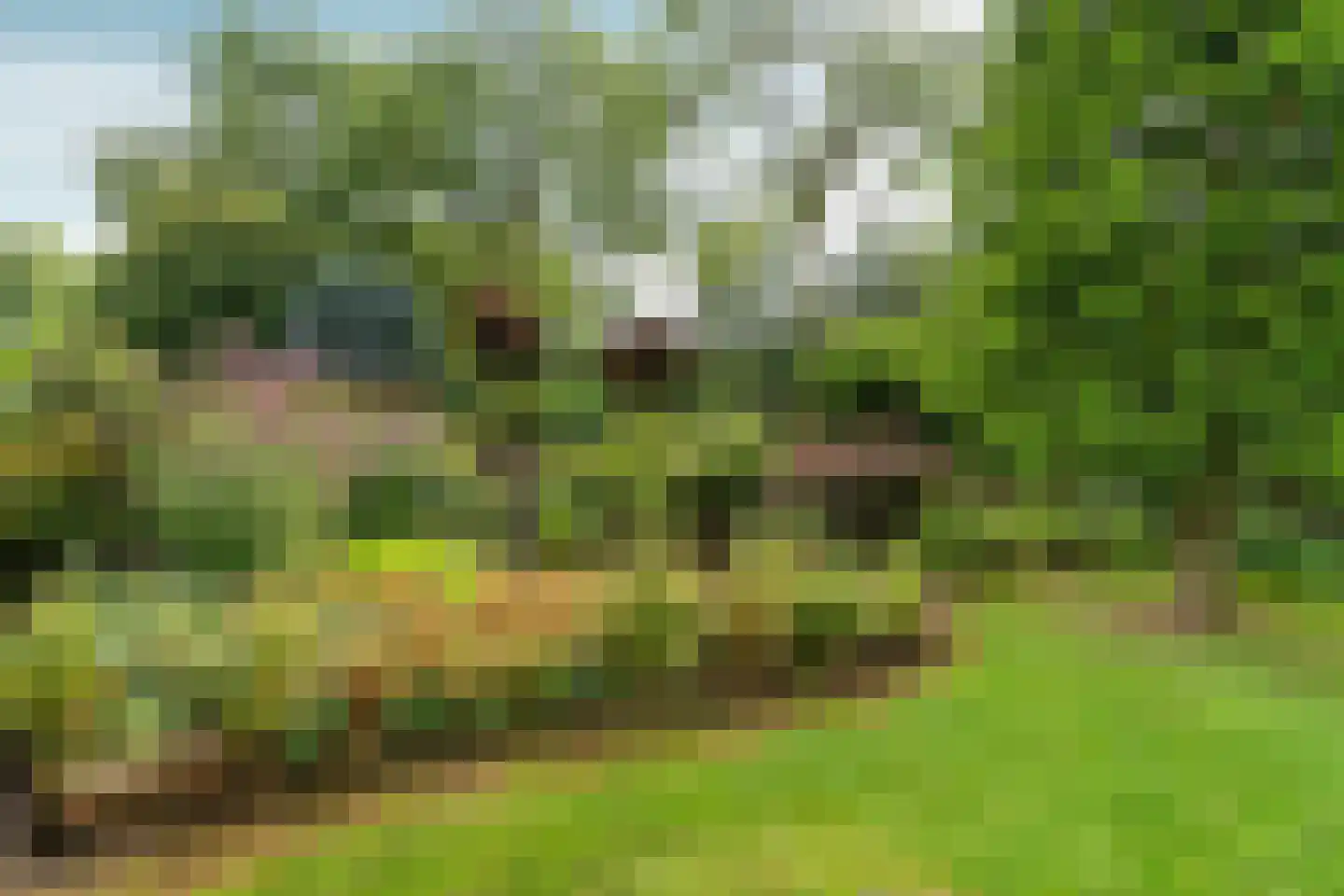 Kouwenberg 50 Cuijk thumbnail 47