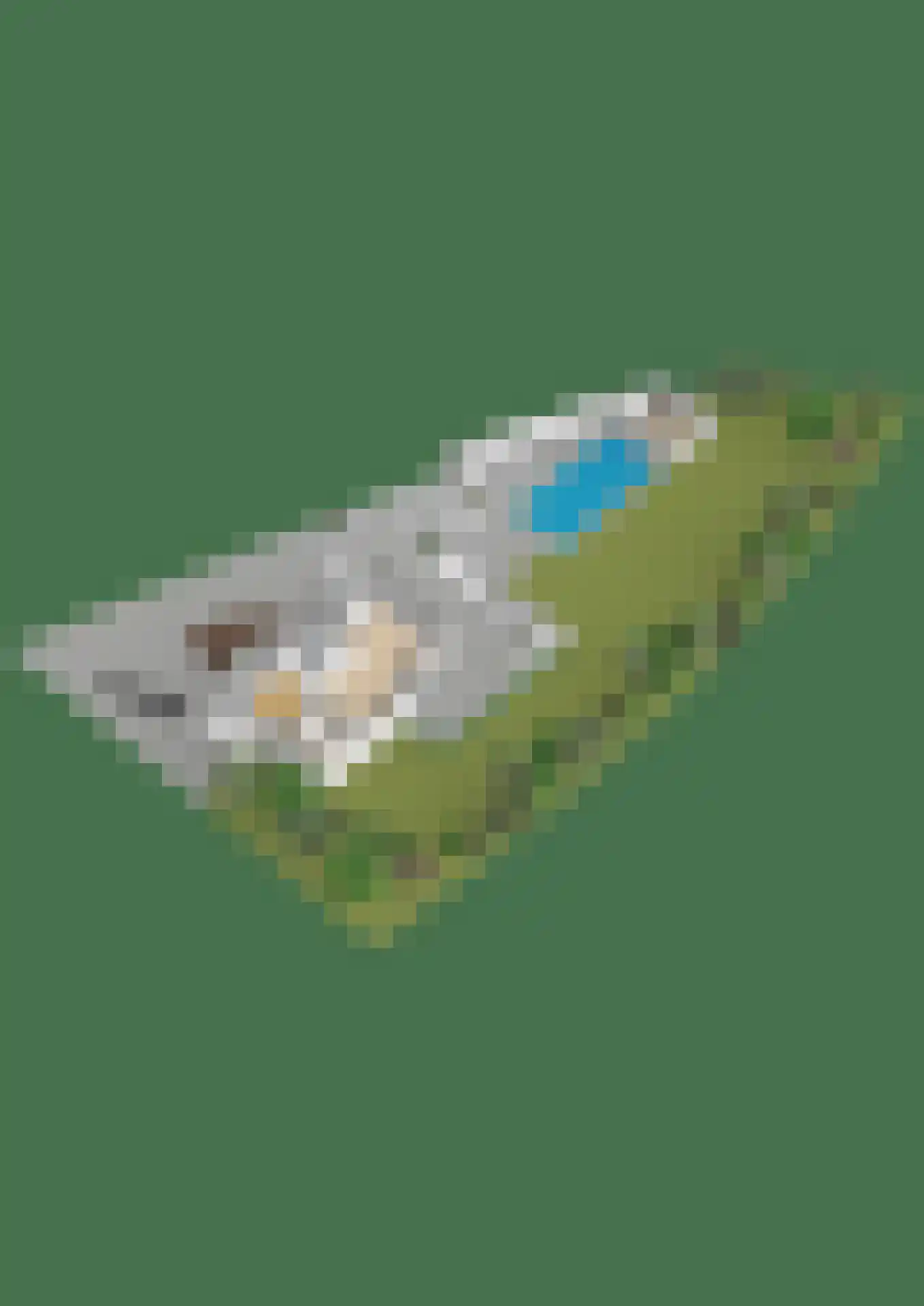 Kouwenberg 50 Cuijk thumbnail 64
