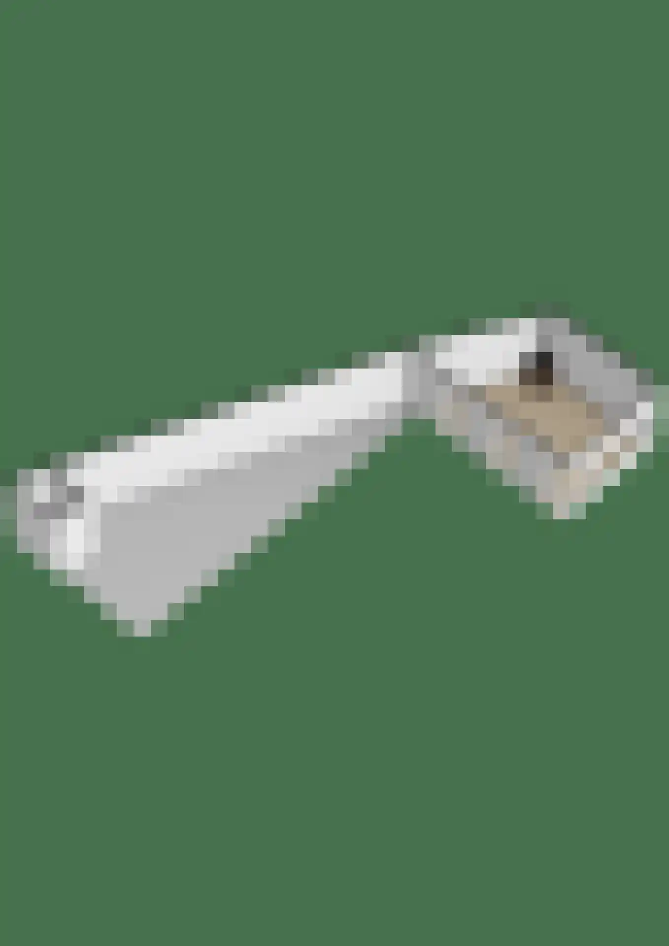 Kouwenberg 50 Cuijk thumbnail 69